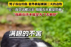男子深山钓鱼，意外救起被困三天的边牧。“它一直尝试爬出去，周围石头都是爪痕 ”～“我跋山涉水就是为了去救你”……(来源:@好好先生 )视频封面