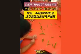 7月25日，山东烟台。一把狗尾巴草，让幼儿园秒变欢乐场！#狗尾巴草 #萌娃 #童年回忆 感谢分享@烟台市芝罘区快乐起航幼儿园（蓁山社区）视频封面