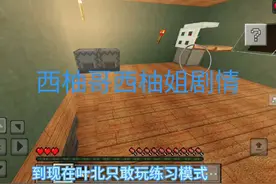 #我的世界中国版 #我的游戏日常 #抽风 西柚哥和西柚姐都立了😡😡