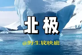 神秘的北极，北极。#冰川 #北极 #神秘生物 #自然奇观视频封面