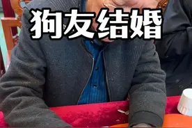 没想到有一天会替狗儿子随礼 #狗狗 #阿拉斯加视频封面