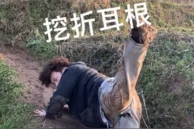 这个折耳根差点把我挖挺了…#折耳根 #回村吃席了 #回村的生活 #方言 #大学生视频封面