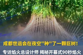 成都世运会在夜空“种”了一颗巨树！专访焰火总设计师，揭秘开幕式90秒焰火🎆 #成都世运会