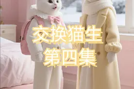 小橘成功去到小橘家，接下来又会发生什么样的故事呢#小白亲生妈妈后续#小白和小橘交换后续#交换猫生#温馨故事