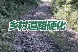 乡村道路硬化预算 #乡村道路硬化视频封面