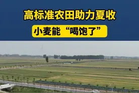 高标准农田助力夏收 小麦能“喝饱了” #媒体精选计划视频封面