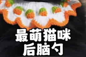 俏皮小马尾配上可爱的小发夹，它被称为猫界最萌后脑勺 #猫咪 #可爱到爆炸💥 #萌宠 #缅因猫 #猫咪的迷惑行为