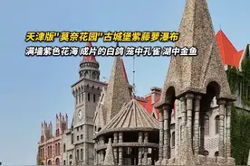 当童话照进现实 天津版"莫奈花园"闯入紫藤瀑布的紫色幻境，来中华石园邂逅一场浪漫的紫色花海吧#旅行推荐官 #紫藤花  #天津值得打卡的地方 #你好天津 #天津新增一创意打卡点视频封面