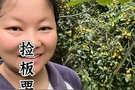 今天的这树李子，在无人的小角度绽放着独属于它的异彩！或许没有惊艳时光，但却真真切切的惊艳到了我#李子#板栗 #随时随地标记一下视频封面