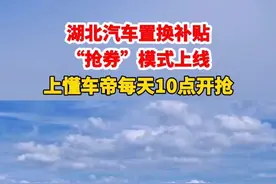 湖北购车补贴抢券模式上线！每天上午10点懂车帝开抢 #汽车国补
