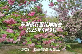 现在时间是2025年4月9日早上7时50分