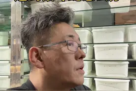 钓鱼的时候遇到银环蛇怎么办 #银环蛇