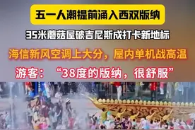 西双版纳迎来五一第一批游客，#第一批到云南的已经开始滇了 ，超级蘑菇屋成为新打卡坐标，屋内新风空调引游客驻足。#五一小长假视频封面