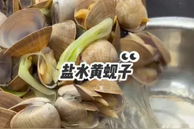 盐水黄蚬子#美食 #爱美食爱生活 #晒美食是对平凡生活的热爱 #抖音美食推荐官 @抖音短视频