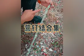 营钉结合集 扎帐篷必学营钉结！#营钉结#户外露营#露营绳结#绳结技能 #实用绳结
