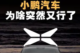 G9失败、股价暴跌、高管贪污，小鹏汽车翻盘史 #掘金计划2025 #经济学知识看世界 #财气满满热闹年 #小鹏汽车 #商业思维视频封面