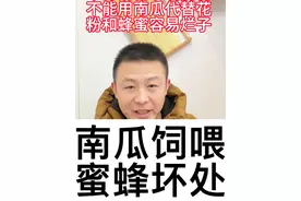 南瓜能不能喂蜜蜂，越冬蜜蜂喂南瓜蜜蜂生存不了。#养蜂技术分享 #养蜂人解说 #蜜蜂喂南瓜 #蜂农 #中蜂养殖视频封面