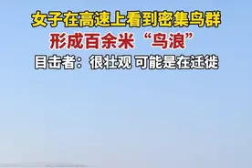 近日，天津，李女士在高速上目睹密集鸟群，形成百余米“鸟浪”，李女士表示，感觉很壮观，但是看不清是什么鸟类，很可能是在迁徙。（来源：荔枝新闻）视频封面