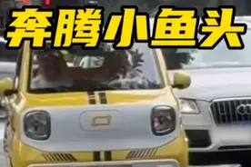 横着跑的奔腾小马剁椒鱼头你见过吗 #奔腾小马 #蟹行模式