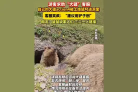 游客求助“#大疆 ”客服，自己的设备被#土拨鼠 叼进洞里，客服笑疯：建议用铲子刨#搞笑