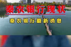 秦农银行现状秦农银行最新消息 #秦农银行现状#秦农银行最新消息#秦农银行#秦农银行贷款#西安金融秦农银行现状我想很多朋友都很关注秦农银行最新消息显示 13 亿股份流拍，将 秦农银行 320 万于 11 月 10 号第二次拍卖， 很多朋友都很关心秦农银行靠谱吗？存款会不会流失？我在这里很放心的跟大家讲，秦农银行属于一家省级农商行，它的实力不容小觑，而且今年前九个月财报净利润 22.86 亿，大家大可不必担心秦农银行倒闭。 另外近期经常听秦农领导几个领导讲，他们支行一边是放款压力大的喘不过气，一边呢抱怨客户难找，比如秦臻贷针对国企事业单位职工非常友好！针对于有西安公积金的工薪阶层单笔上限 300万年化利率 3% 起步可以做到 5 年，我是老任关注蓝柒传媒，深耕西安公积金贷款11年，业务面向全省。秦农银行现状和秦农银行最新消息你了解了吗？视频封面