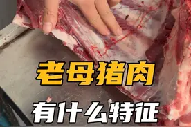 这样的是老母猪肉，你知道吗？#猪肉 #猪肉分割技巧 #放心肉视频封面