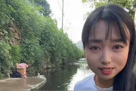 女孩养了三只能听懂人话的小鸭子视频封面