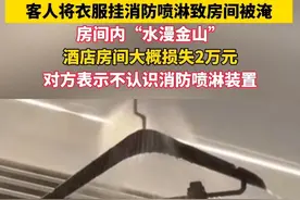 客人将衣服挂#消防喷淋装置 致酒店房间“水漫金山”，酒店称损失2万元，房客仅赔偿2千元。视频封面