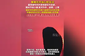 每年春夏季，毒蛇咬伤频发。根据咬伤伤口即可判断，毒蛇咬伤通常可见两个或成对深大的牙痕，无毒蛇咬伤可见一排或数排细小的牙痕。（FM93浙江交通之声）视频封面