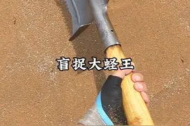 盲捉大蛏王 #赶海 #我的乡村生活 #新农人计划2025