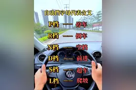 自动挡字母含义 #考驾照 #科目三 #自动挡 #逢考必过