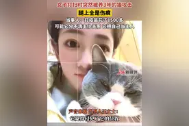 4月16日（报道）江西九江。女子打扫时突然被养3年的猫攻击，腿上全是伤痕，当事人：打疫苗花了1500多，可能它分不清主仆关系，它把自己当主人。#猫咪 #主人视频封面