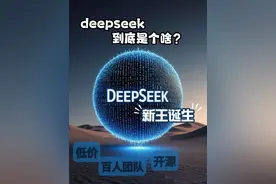 请用大白话说一下，deepseek为何如此爆火的原因？#deepseek #ai