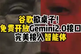 谷歌终于坐不住了！免费开放GeminiAPI可任意使用 #chatgpt
