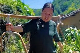 在这丰收的时节，毛豆不仅是盘中美味，更是乡村与自然和谐共生的诗意象征。#我的乡村生活 #新农人计划2025视频封面