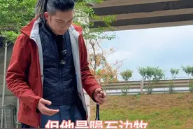 陨石边牧就不应该作为宠物。不接受反驳。 #训犬学校 #养狗经验分享 #亨特训犬