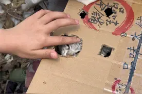 为什么现在的流浪猫越来越多了#流浪猫 #万万想不到 #救助