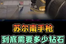苏尔南暗潮到底需要多少钻石？#和平精英PC模拟器