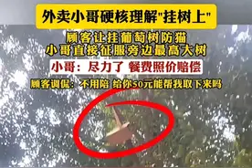 外卖小哥硬核理解"挂树上" 没点才艺 外卖都送不了 顾客让挂葡萄树防猫 小哥直接征服旁边最高大树 小哥：尽力了 餐费照价赔偿 顾客调侃：不用陪 给你50元能帮我取下来吗 #外卖小哥 #有趣的灵魂 #社会百态视频封面