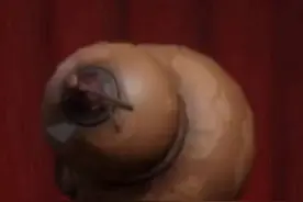 #超自然行动组  一个视频教大家卡葫芦三吸法