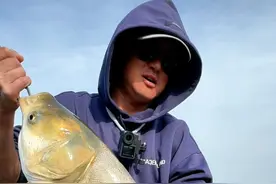 升温鱼情乱 升温的第一天，鱼口很多，鱼层上浮，及时调整水层，钩距，也许能钓到#浮钓鲢鳙 #春天就要去钓大鱼 #钓鱼人春天有多拼 #春天总要出门钓一次鱼吧 #钓鱼人晓夏