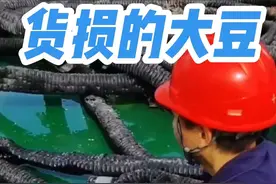 八万吨级的远洋货轮，在美洲装载了七万吨的大豆。在这些大豆里面是允许有一部分货损的，而货损的大豆就要清理入海，船舶是不能把货损大豆运回港口的。