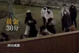 四川成都，高层业主组团强拆一楼业主的花园围栏，一楼业主亮合同称自己享有绿地单独使用权，高层业主说：他们乱拆乱建违规霸占交付的绿化面积。视频封面