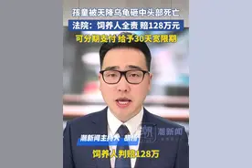 孩子被天降乌龟砸中头部死亡，法院：饲养人全责 赔128万元，可分期支付，给予30天宽限期
