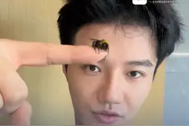 带着蜜蜂过一天是什么样的体验？专访博主透露驯蜜蜂、苍蝇背后真相：“花一天时间观察它们的生活，或许你就会知道其中的奥秘。”@柯铭的沙雕艺术生活