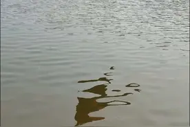 这位姐姐飞出了腾云驾雾的感觉！#水上荡秋千 #记录精彩瞬间 #危险动作请勿模仿视频封面