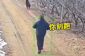 你家的狗狗喜欢看烟花吗？ #宠物 #宠物用品 #萌宠出道计划视频封面