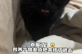 黑猫是怎么把自己设置为仅自己可见的？？ #黑猫#隐身术#蓝氏天然乳鸽粮 #蓝氏烘焙猫粮