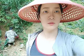 野猪配种的母猪带回来一窝又一窝小野猪，太多了，媳妇乐坏了