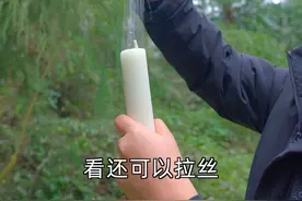 大山深处的芭蕉树，取出里面的芭蕉芯炒腊肉，有吃过吗 #乡村生活家 #芭蕉芯